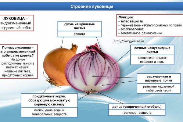 Что такое кракен маркетплейс в россии